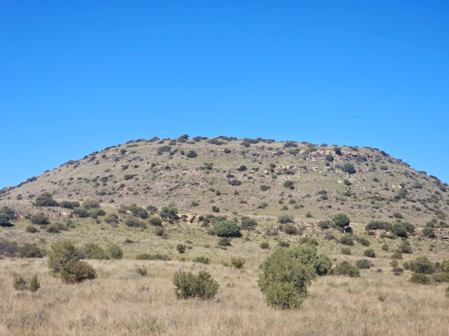 4 Bedroom Property for Sale in Dewetsdorp Free State